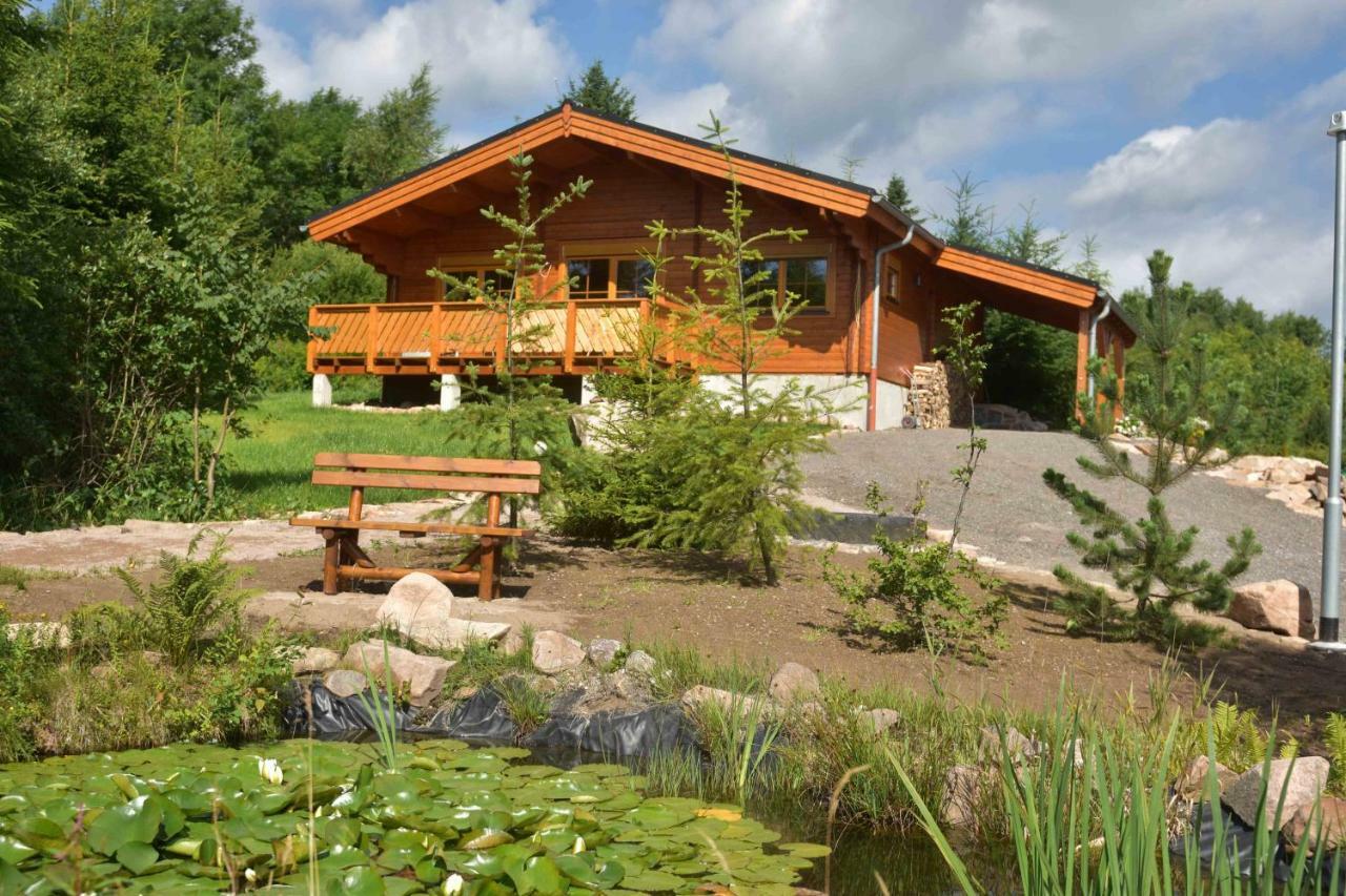 Erzgebirgsholzhaus Am Lugstein Villa Altenberg  Exteriör bild